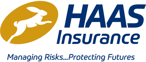 The Haas Agency